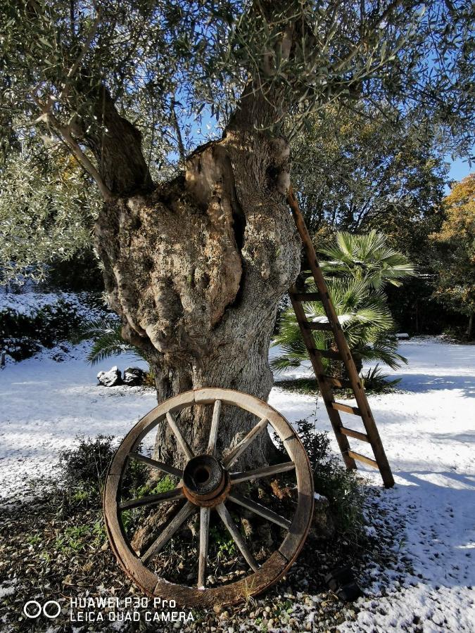 Antico Palmento Dell'Etna Ξενοδοχείο Pedara Εξωτερικό φωτογραφία